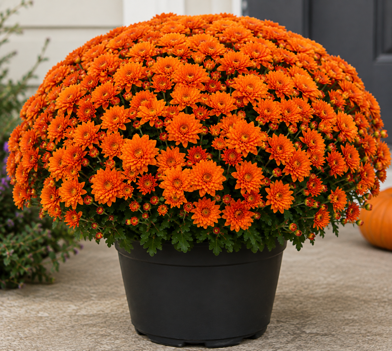 MUMS FALL FUNDRAISER 2026 supporting SLC