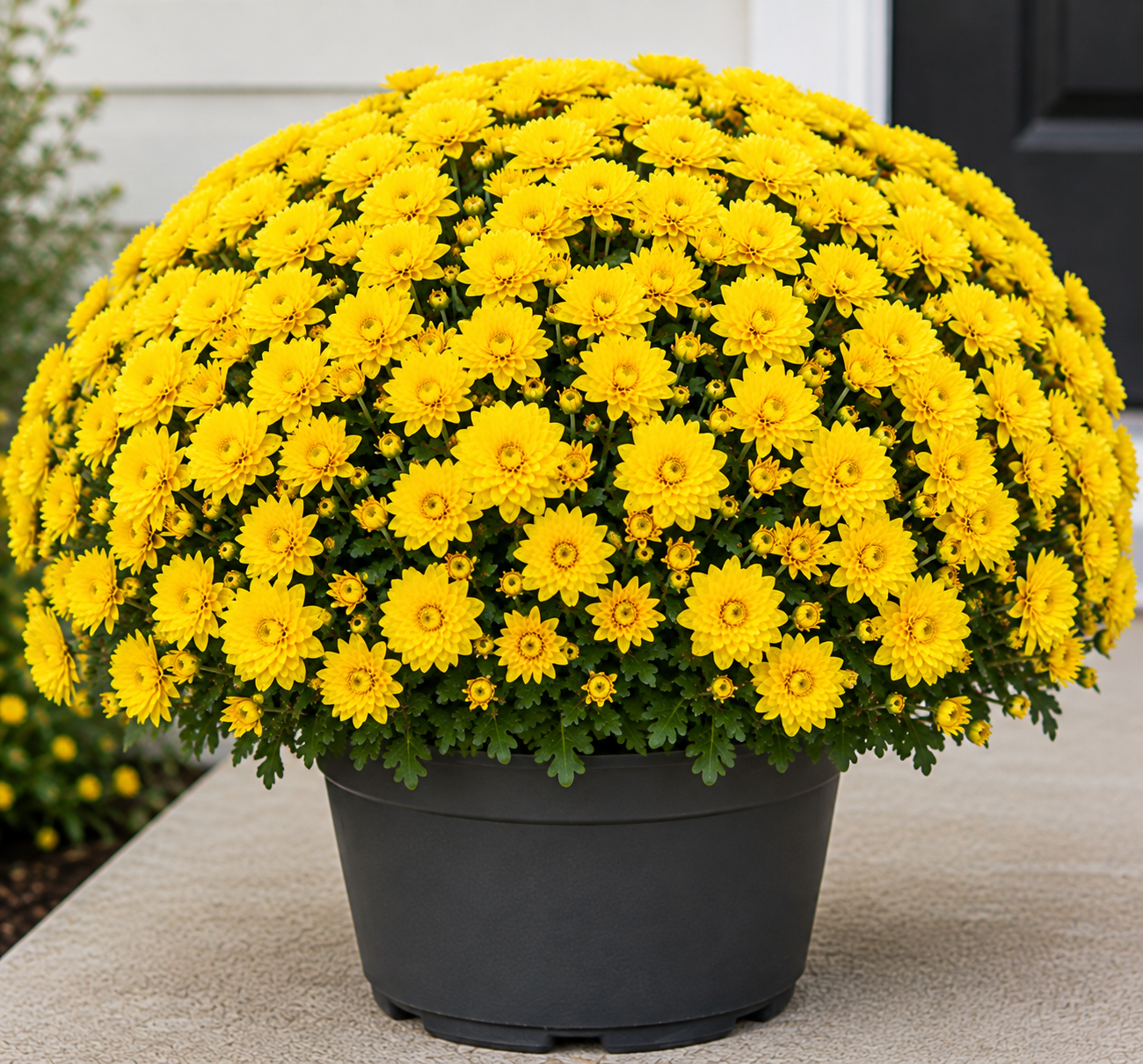 MUMS FALL FUNDRAISER 2026 supporting SLC